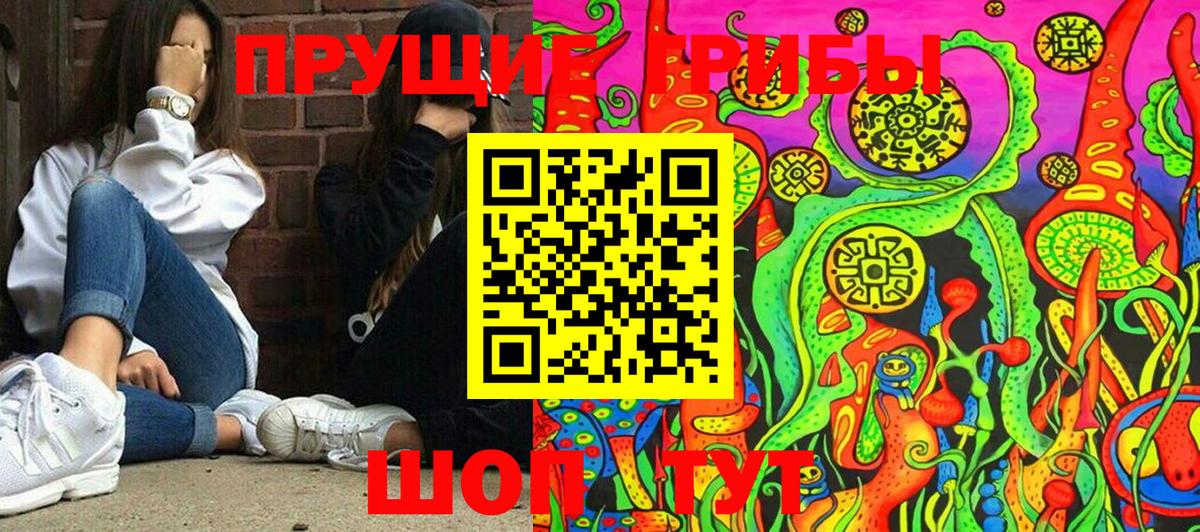 Гурьевск  купить наркотик  Вход с VPN  Галлюциногенные грибы прущие грибы 