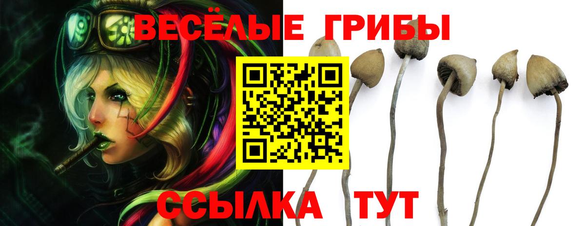 Галлюциногенные грибы ЛСД Гурьевск
